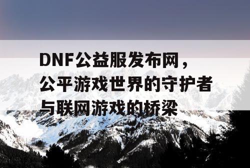 DNF公益服发布网，公平游戏世界的守护者与联网游戏的桥梁