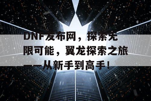 DNF发布网，探索无限可能，翼龙探索之旅——从新手到高手！