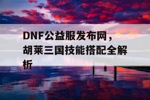 DNF公益服发布网，胡莱三国技能搭配全解析