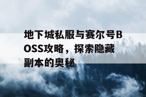 地下城私服与赛尔号BOSS攻略，探索隐藏副本的奥秘