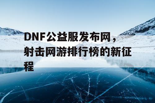 DNF公益服发布网，射击网游排行榜的新征程