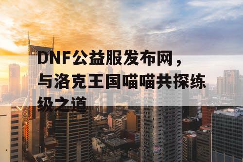 DNF公益服发布网，与洛克王国喵喵共探练级之道