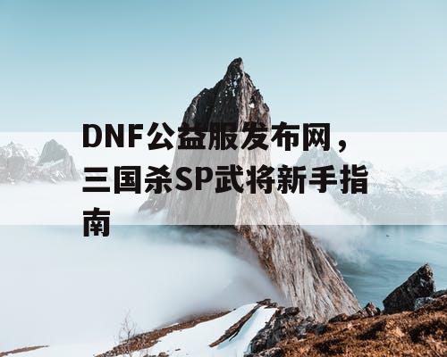 DNF公益服发布网，三国杀SP武将新手指南