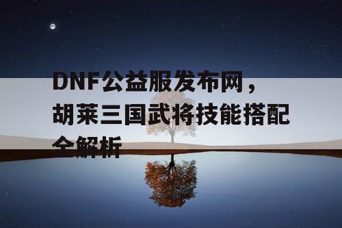 DNF公益服发布网，胡莱三国武将技能搭配全解析