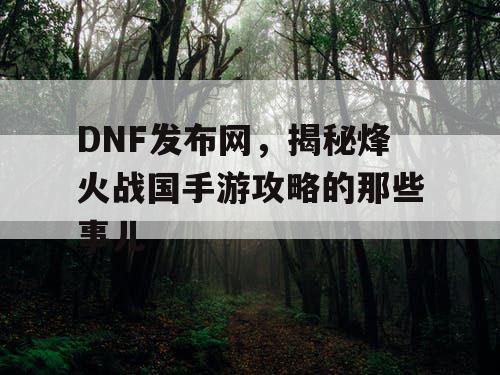 DNF发布网，揭秘烽火战国手游攻略的那些事儿