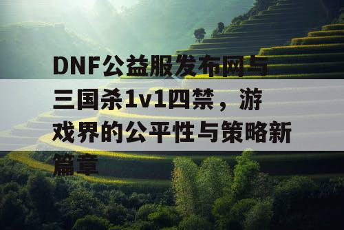 DNF公益服发布网与三国杀1v1四禁，游戏界的公平性与策略新篇章