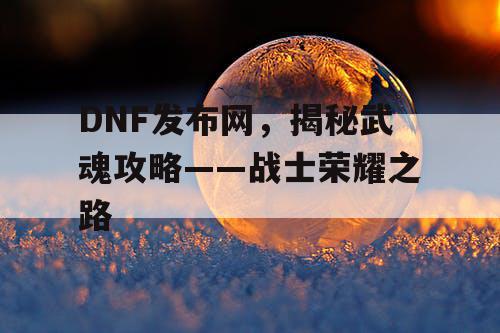 DNF发布网，揭秘武魂攻略——战士荣耀之路