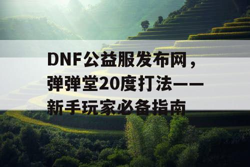 DNF公益服发布网，弹弹堂20度打法——新手玩家必备指南