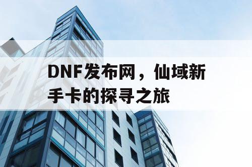 DNF发布网，仙域新手卡的探寻之旅