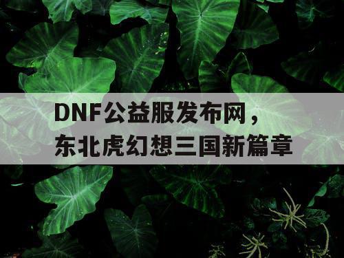 DNF公益服发布网，东北虎幻想三国新篇章