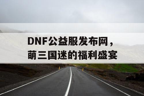 DNF公益服发布网，萌三国迷的福利盛宴