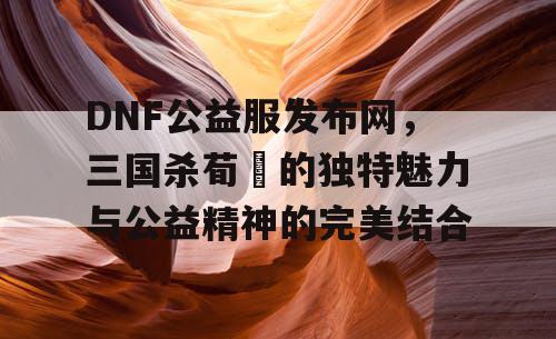 DNF公益服发布网，三国杀荀彧的独特魅力与公益精神的完美结合